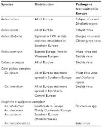 Full Text Mosquito Borne Diseases In Europe An Emerging