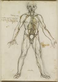 This was very helpful and the drawings helped a lot! A Rare Glimpse Of Leonardo Da Vinci S Anatomical Drawings Brain Pickings