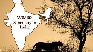top 10 wildlife sanctuaries in india