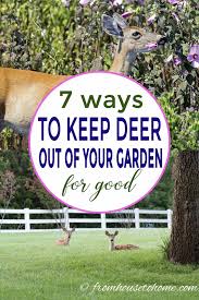 13 ways to keep deer out of your garden