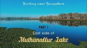 muthlur lake part 1 east side