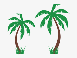 palm tree decal for wall coconut trees