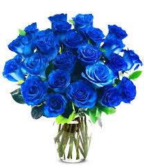 two dozen blue jewel roses at from you