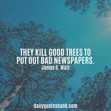 We just see and enjoy the beauty. 100 Inspirational Quotes About Planting Trees For Future Generations