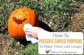 How To Preserve A Carved Pumpkin Plus