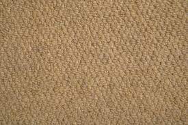 textured cut pile carpet kidd s