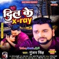 Dil Ke Xray (Gunjan Singh) Mp3 Song Download -BiharMasti.IN