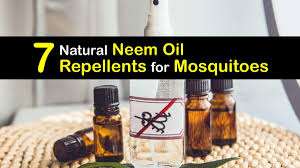 mosquito control with neem oil guide