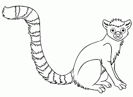Download and print these lemur coloring pages for free. Ring Tailed Lemur Colouring Pages Coloring Home