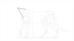 Add definition on its bulky mouth having its nose. How To Draw A Cheetah