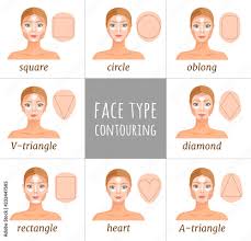 face shapes vector makeup guide
