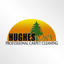 hughes dry professional carpet reviews