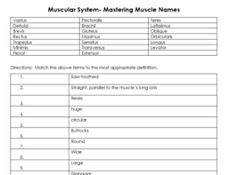 See muscle names stock video clips. Muscular System Mastering Muscle Names Worksheet Tpt