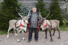 hs2 reindeers to visit parliament with