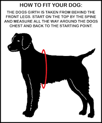 Girth Measurement Chart Service Dogs Pinterest Service