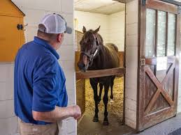 All of our prefabricated horse barns are constructed by experienced craftsmen under controlled conditions. I Toured The Legendary Kentucky Horse Farm Where Secretariat Lived Business Insider