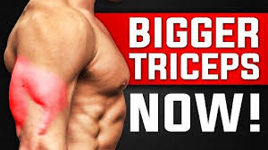 3 triceps exercises for skinny guys