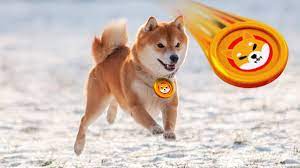 The Easiest Way to Buy Shiba Inu Coin ...