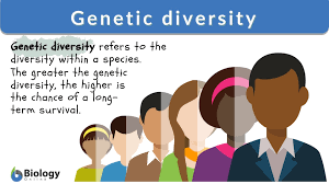 genetic diversity definition and