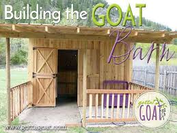 building the goat barn gotoat