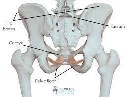 pelvic girdle pain pgp