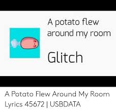 A potato flew around my room. A Potato Flew Around My Room Glitch A Potato Flew Around My Room Lyrics 45672 Usbdata Lyrics Meme On Awwmemes Com