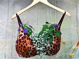 Plants A Boost By Upcycling Old Bras