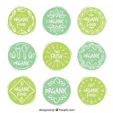 Collection Of Decorative Stickers With Hand Drawn Organic Food