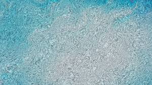 blue and grey carpet fabric texture