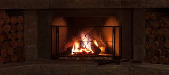 The Best Fireplace Screens Reviews