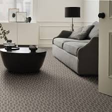 pet friendly carpet rc willey home