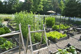 vegetable garden a healthy life