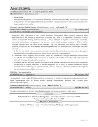 HR executive resume  human resources  sample  example  jobs     