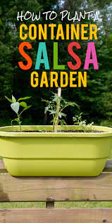 How To Plant A Container Salsa Garden