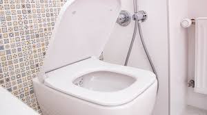 replacing your toilet seat