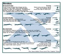 Super Swimmer Stroke Chart Swimming Swimming Strokes
