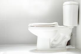 Quickly Measure For A New Toilet Seat