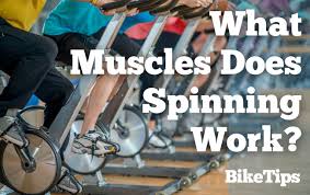 what muscles does spinning work the 8