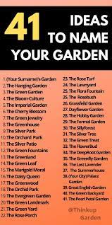 Creative Garden Name Ideas Names