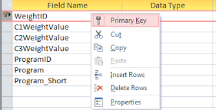 how to auto increment table primary key
