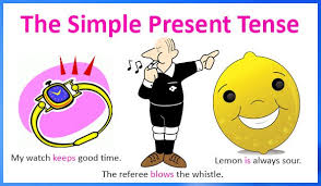 (+) we go to the. 33 Contoh Kalimat Simple Present Tense Positif Negatif Tanya