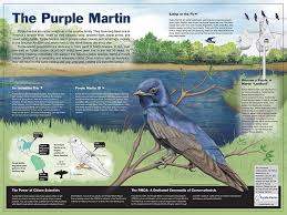Purple Martin Conservation Association