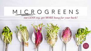 6 top health benefits of microgreens