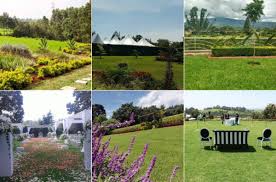 affordable garden venues for weddings