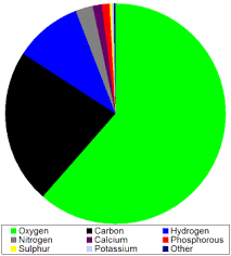 chemical composition of the human body