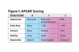 Apgar Score Chart Checklist Related Keywords Suggestions