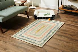 the 10 best rugs for homes with dogs