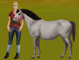 Purchase new horse for €1. Horse World Online Free Horse Breeding And Virtual Pet Game Gaming And Geek Life Blog