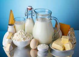 Image result for dairy products