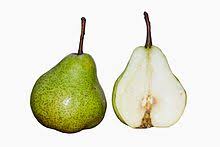 Pear Wikipedia